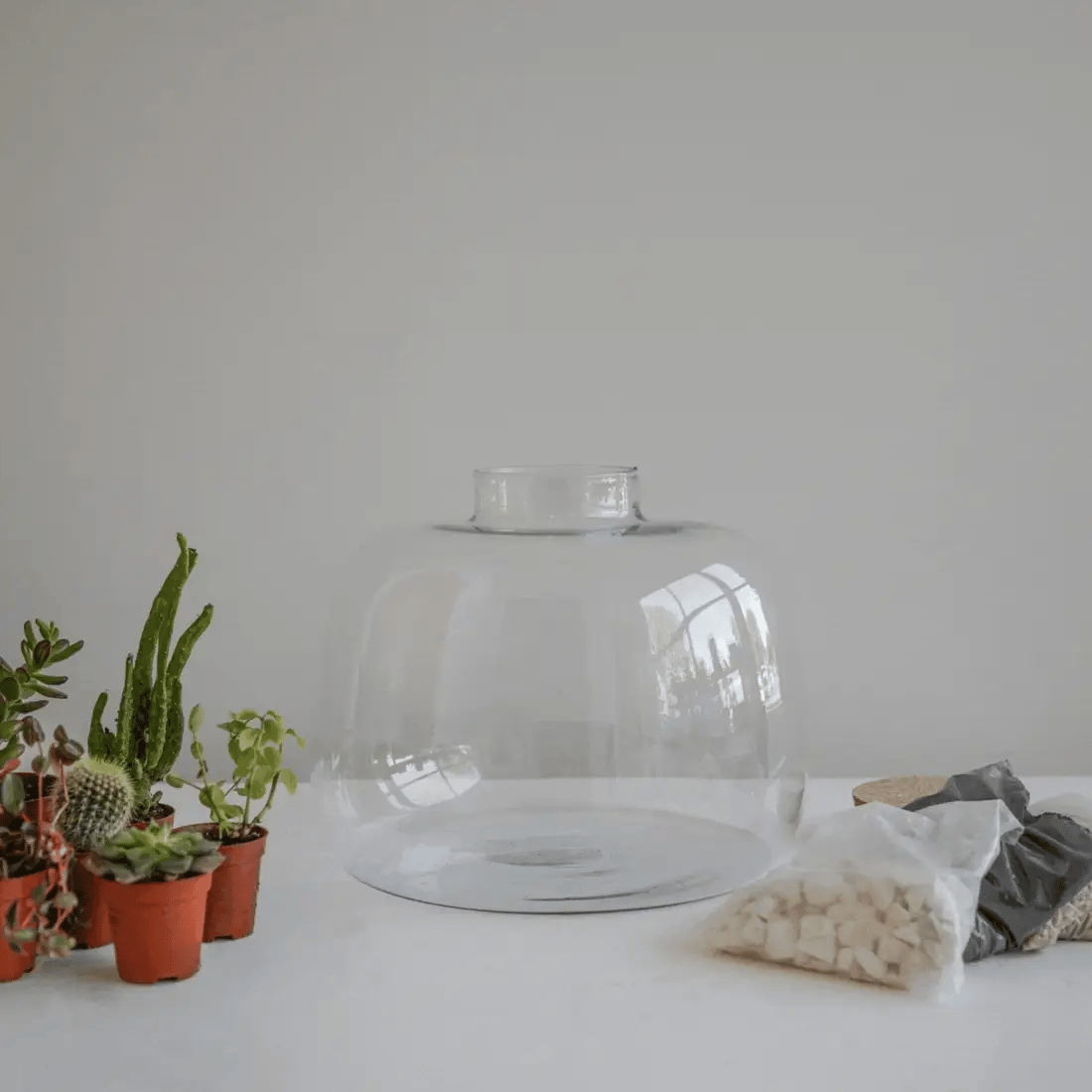 Bowl Shape Large Terrarium DIY Kit