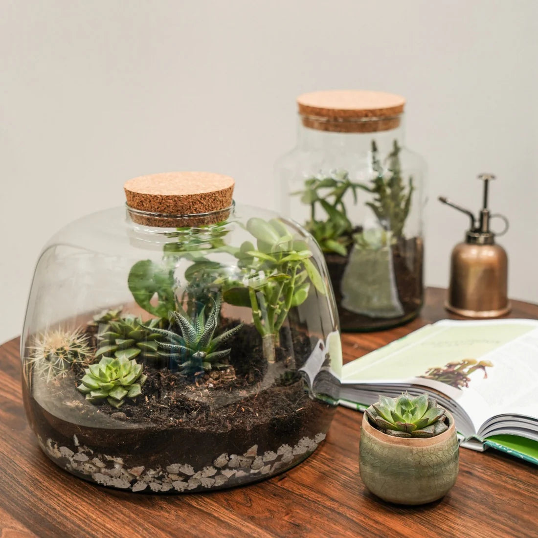 Bowl Shape Large Terrarium DIY Kit