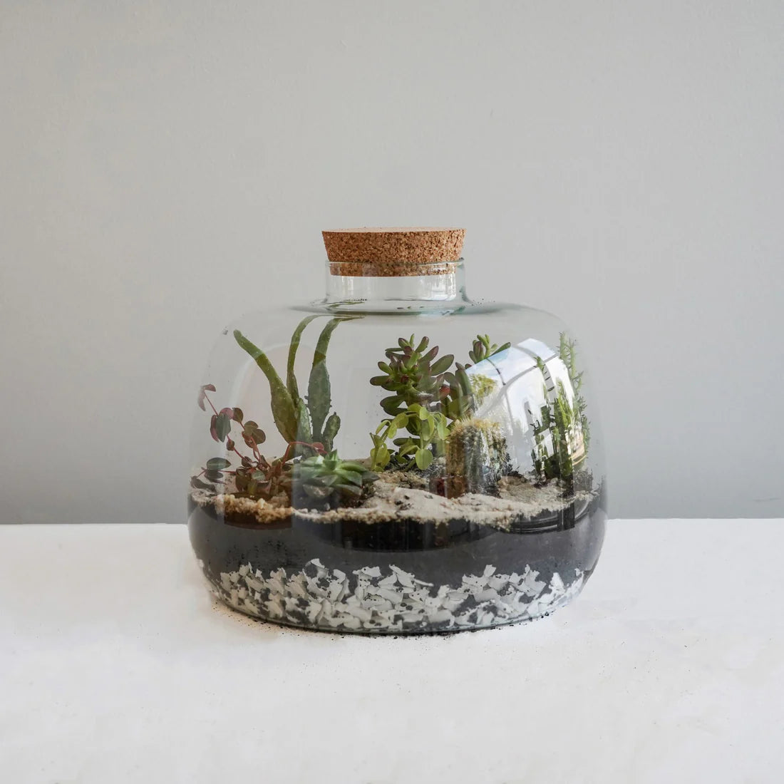 Bowl Shape Large Terrarium DIY Kit