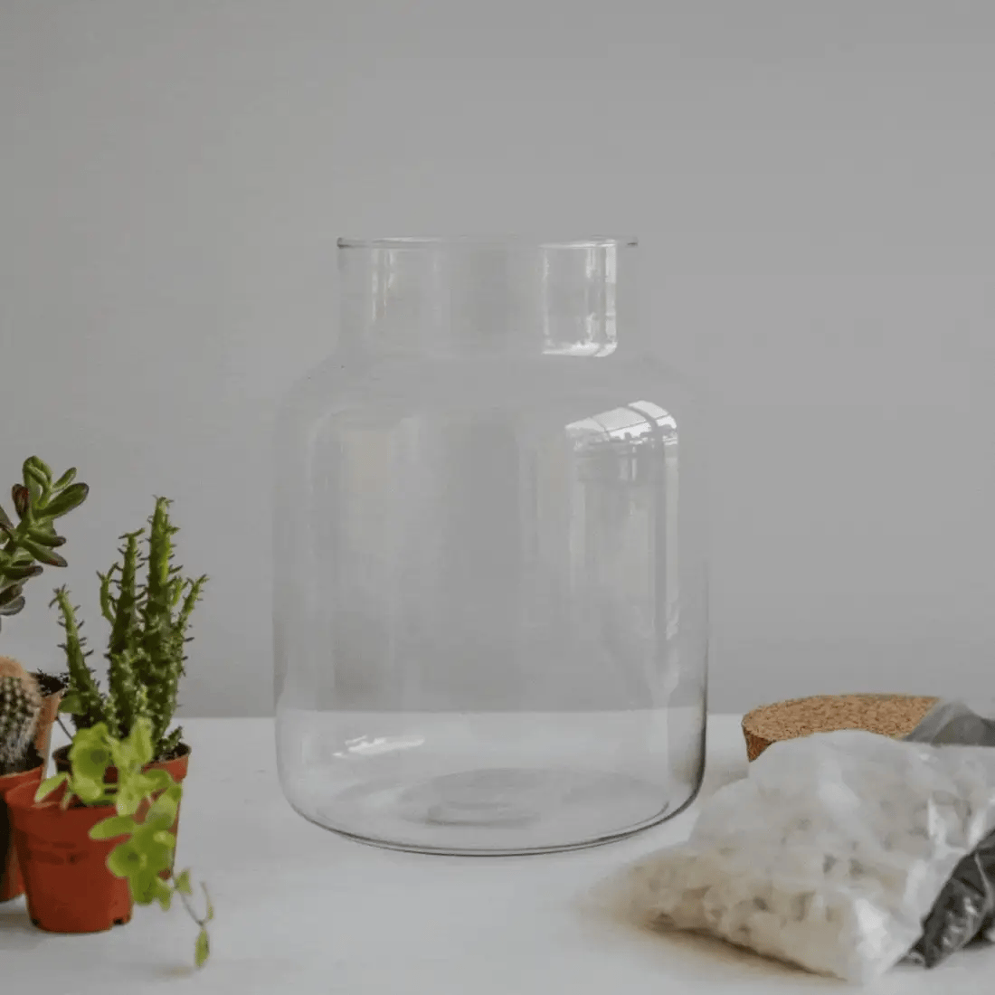 Bottle Shape Medium Terrarium DIY Kit