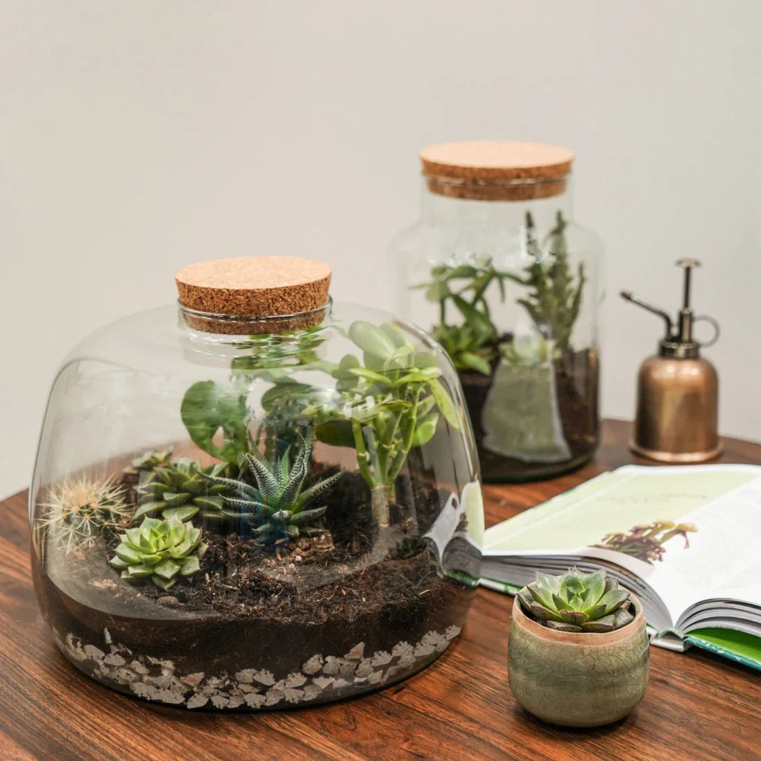 Bottle Shape Medium Terrarium DIY Kit