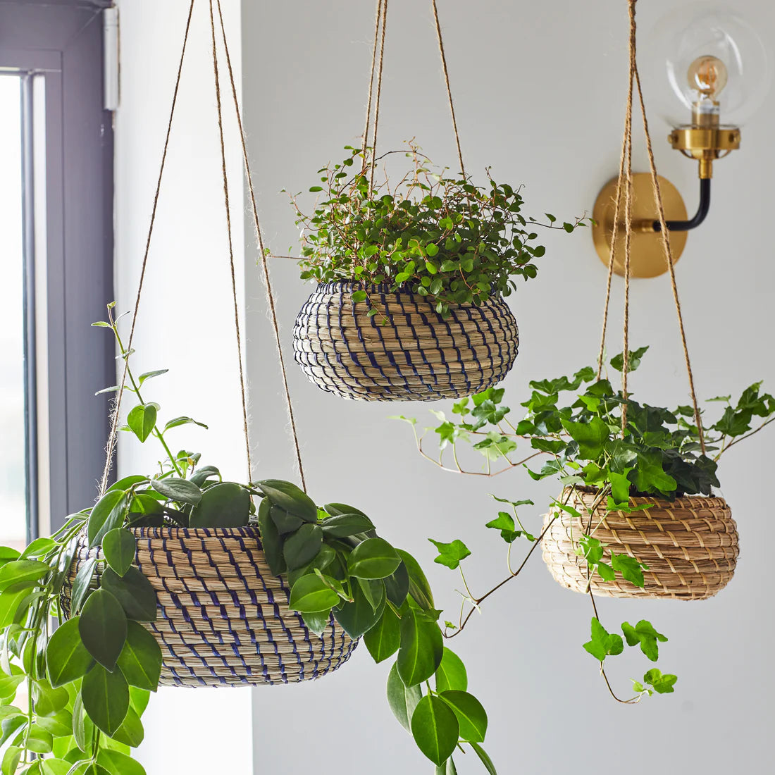 Hanging Seagrass Planter Set of 2