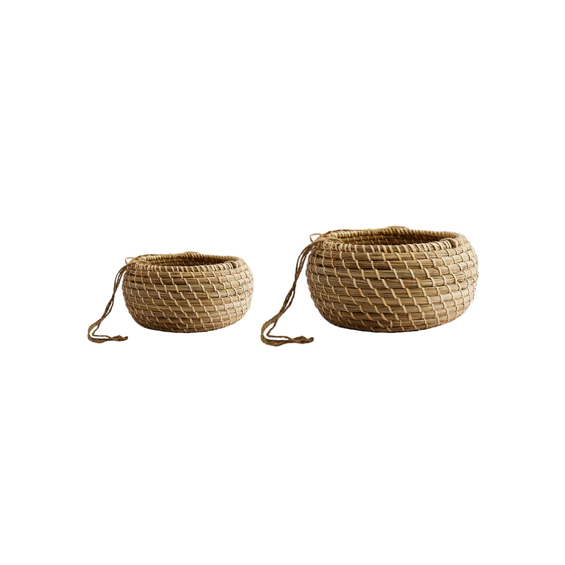 Hanging Seagrass Planter Set of 2