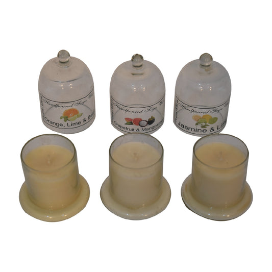 Bell Jar Candle Set of 3 (Fruit)