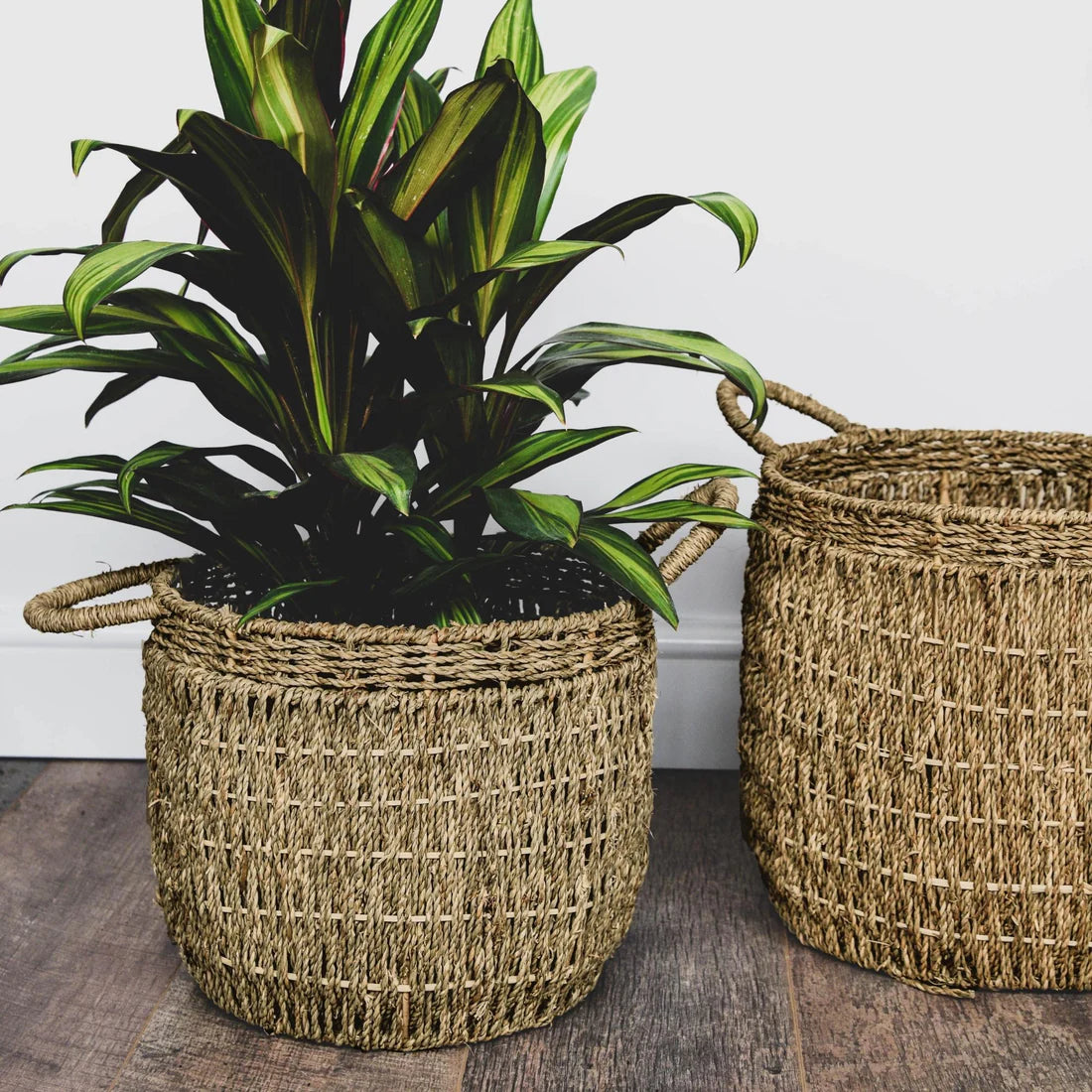 Seagrass Lined Basket Natural Set of 2