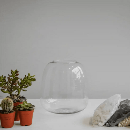 Bowl Shape Medium Terrarium DIY Kit