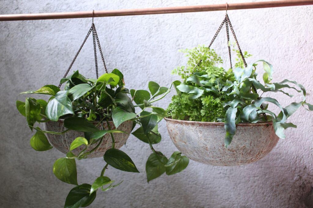 Inside the UK Allotment Revival: Why We’re Returning to Slow Living and Growing Our Own nkuku abari round hanging planter