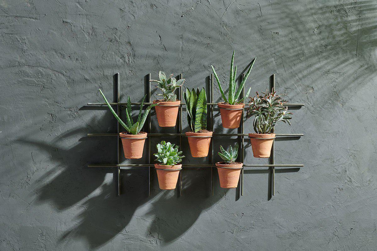 hanging planters in terracotta