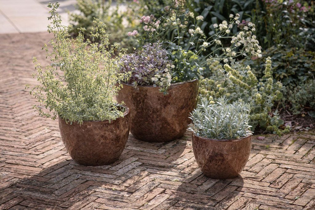 Terracotta planter in brown colour by Nkuku.